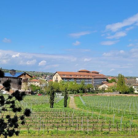 Ihr Bett Mit Blick Auf Die Weinberge Bad Dürkheim Exterior foto