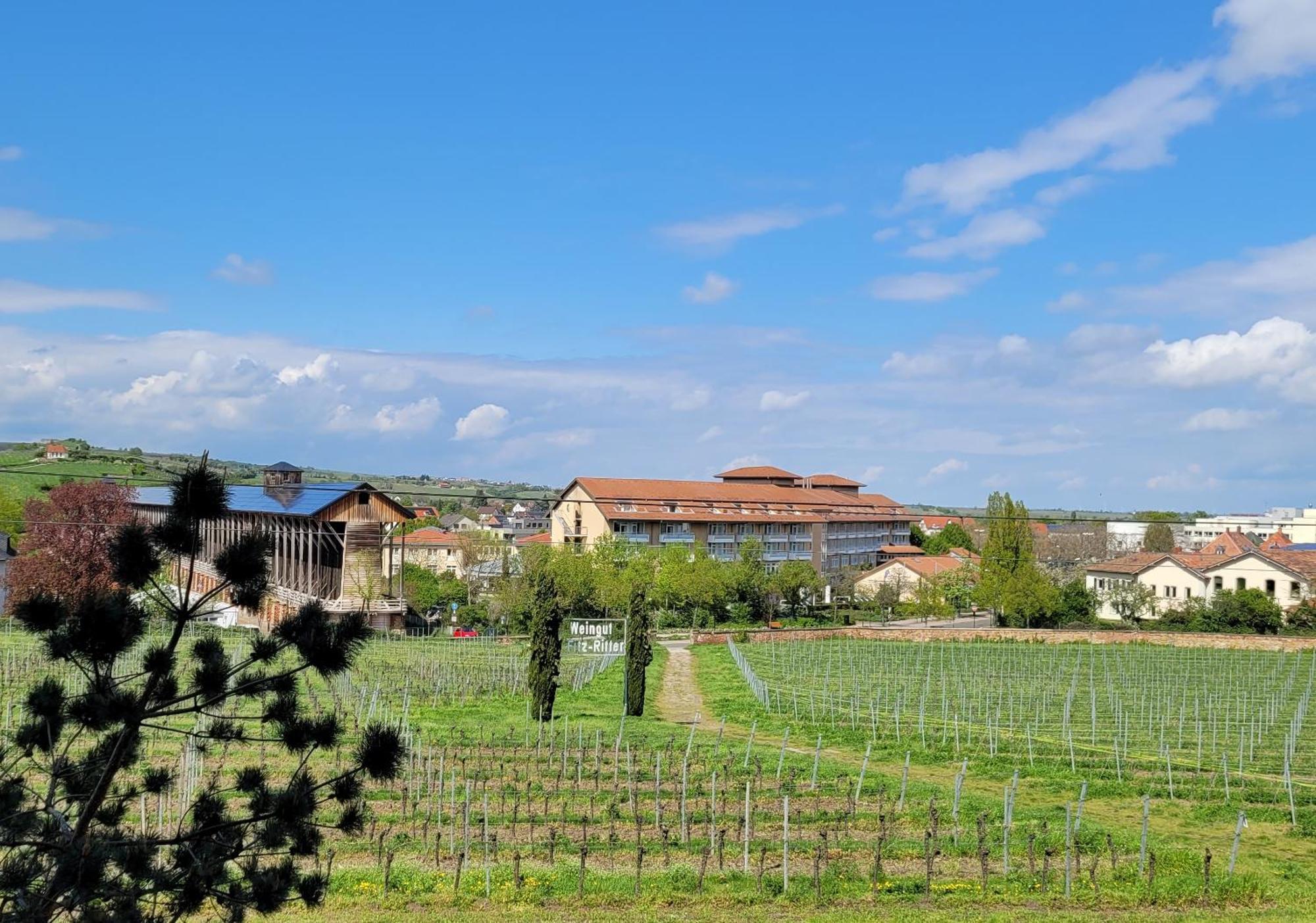 Ihr Bett Mit Blick Auf Die Weinberge Bad Dürkheim Exterior foto